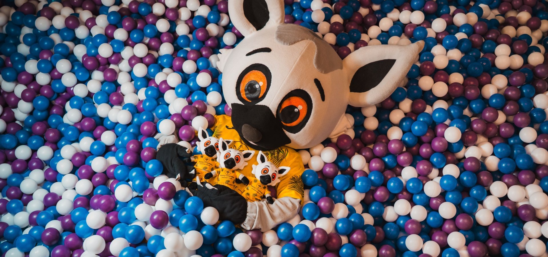 banner image