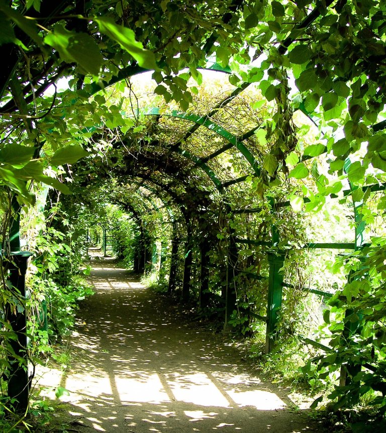 Ogród Botaniczny